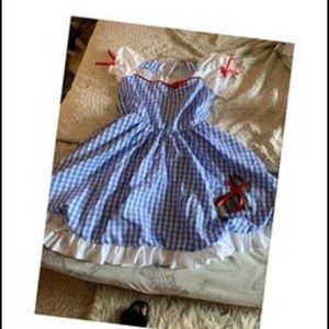 Lady’s Dorothy Costume medium